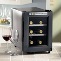 Wine Enthusiast 6 Bottle Cooler w/ Graphite Finish